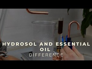 Hydrosol vs Essential oil - Beginners guide - distillation at home