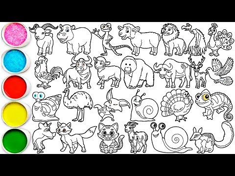Draw 26 Amazing Animals in Minutes - Mountain Goat, Hippopotamus, Lizard, Sheep, Lion & others