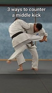 3 ways to counter a middle kick #mma #karate #discipline #seido #fight | Hagai Bitran