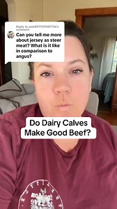 3.2K views · 116 reactions | Are dairy calves, good meat? Find out the easiest way to grow up beef and and the benefits of steer meat ##homestead##farmlife##steer##beefcattle #onthisday | The Little Red Farm | Facebook