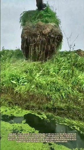 バケットでさらう川の雑草：水辺の環境を整えるショベルの活躍