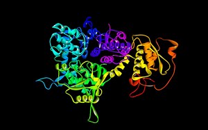 配置Modeller建模工作环境__2