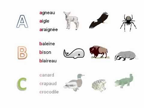 L'ordre alphabétique