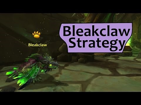 Bleakclaw: Tanaan Legendary Pet Battle Strategy Guide
