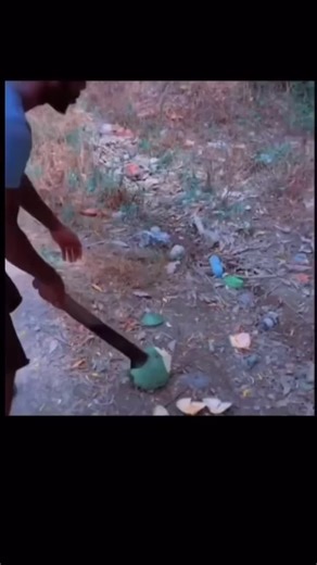 Understanding Bomboclaat: Jamaican Patois Profanity