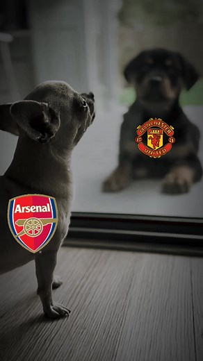 Arsenal vs Manchester United: A Football Rivalry