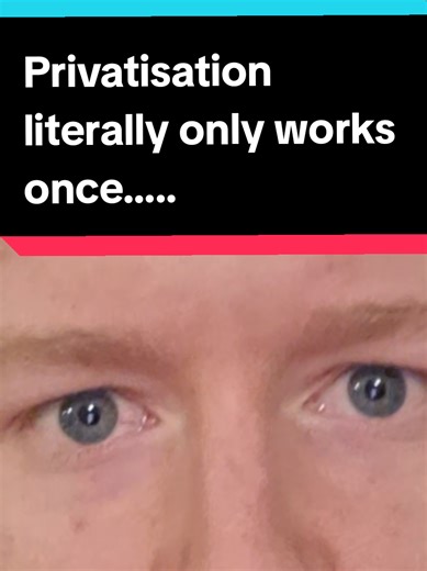 Understanding Privatisation and Its Historical Impact