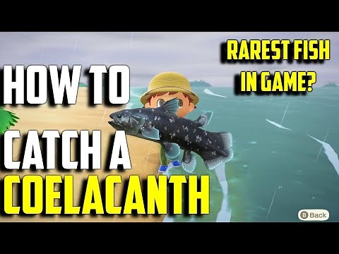 How to Catch a Coelacanth | Coelacanth ACNH | Coelacanth Animal Crossing New Horizons | Coelacanth