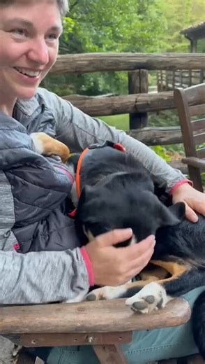 63K views · 638 reactions | Marty kann es noch gar nicht so richtig...