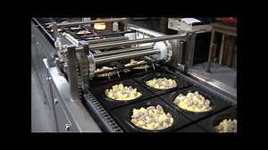 Precision PMD 80 CPM Complete Bowl Packaging System 11.19.15