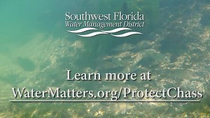 Preserve it. Help protect the Chassahowitzka River. | Southwest Florida Water Management District