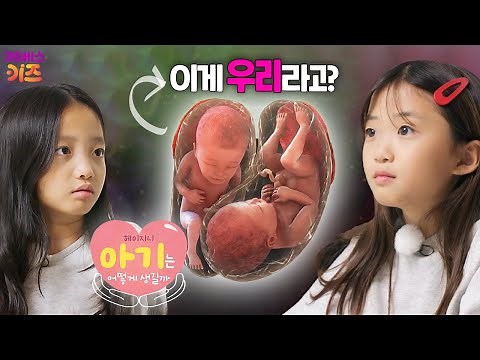 뚜아, 뚜지는 어떻게 태어났을까? 엄마 아빠와 함께 배워요ㅣ헤이지니ㅣ아기는 어떻게 태어날까?ㅣKBS 231212방송