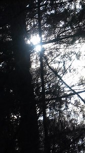 15K views · 72 reactions | Goat Eaters.  | Australian Hunting Podcast | Facebook