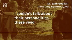 2.9K views · 54 reactions | Look back on the groundbreaking chimpanzee research and humanitarian career of Jane Goodall, winner of the 2021 Templeton Prize. https://www.sciencefriday.com/articles/archive-jane-goodall-templeton/ | Science Friday | Facebook