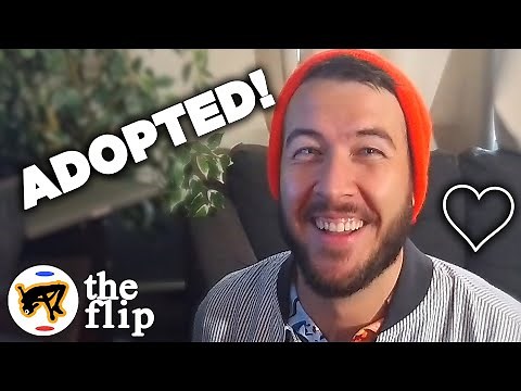 When TikTok Shuts Down