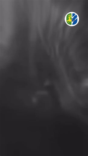 ਜੌਹਲ on Instagram: "Wait till the end  . . . . #newholland #farming #johndeere #farmer #agriculture #tractor #farmlife #farm #ford #tractors"