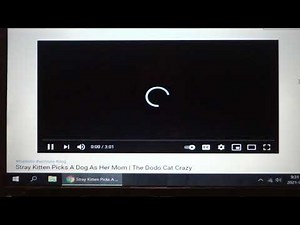 Youtube video loading but not playing fix for windows 10 google chrome
