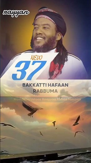 #raayyaaabbaamaccaa #raayyaa #oromo new raayyaa harawa