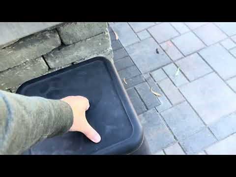 Amazon Basics 24" Metal Bar Stools Review | Set of 4 (Black)