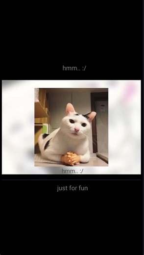 ⚠Flash⚠ | COOOK PARDON | Original | Animation meme