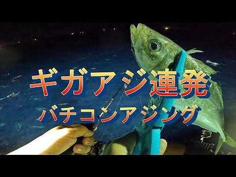 ギガアジ大爆釣のバチコンアジング！効率的なアクション（誘い）の方法 イカメタルの時は必ず仕掛けを準備