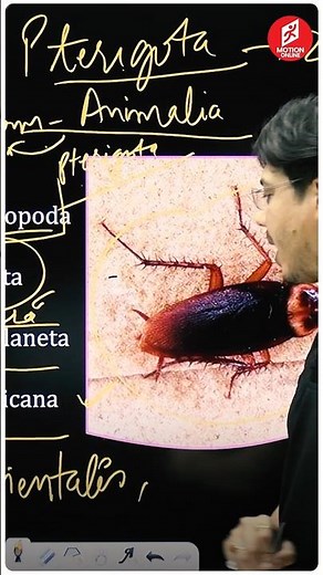 🪳Understanding Cockroaches with MT Sir #cockroach #biology #mtsir #neet2024 #short