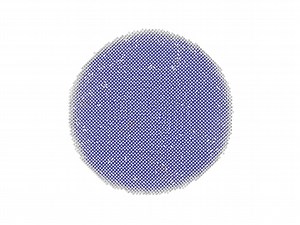 A rare look at how materials change from one solid form to another | Cornell Engineering