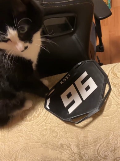 Custom Escooter Stunts: Exploring the Vesk Ubox