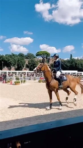 1.2K views | High Potency Joint Formula ✨A combination of modern...