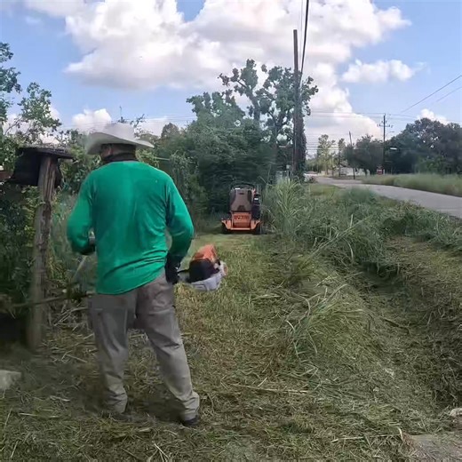 thirty five years without anyone taking care of it, it became like a forest😱 | M&D Lawn Care