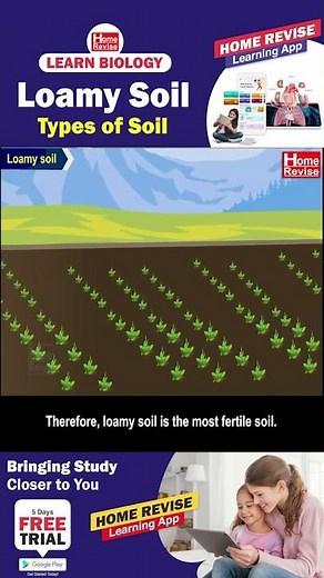 Loamy Soil | Types of Soil