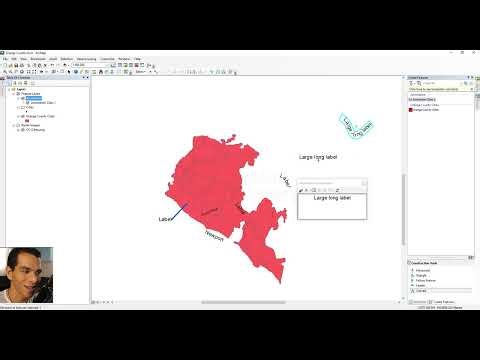 ArcMap Annotation