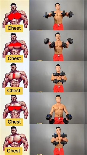 Build your Chest With These 4 Workouts!! #chestworkout