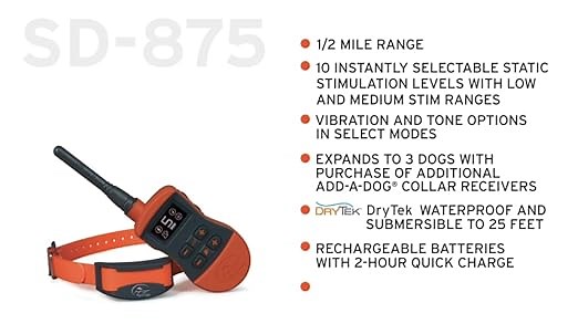 Sport Trainer Features