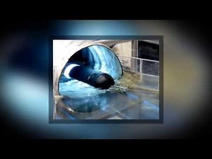 SwRI Culvert Inspection System