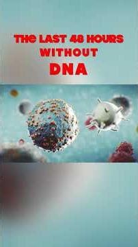 The Last 48 Hours of a Human Without DNA