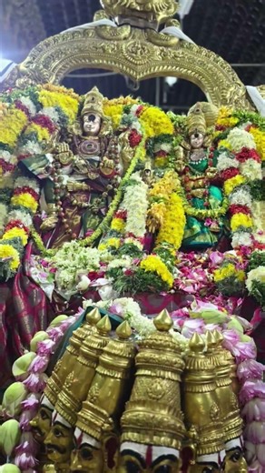 நாள்4 தங்க பல்லாக்கில் மீனாட்சி திருவீதி உலா #meenakshi #amman# சித்திரைத் திருவிழா