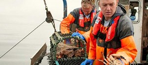 Direct Seafood Sales Bring Increased Profits | Seafood | Fish Focus