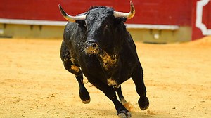 Why A Breakout Is Like A 'Get Out Of Jail' Card For Leading Stocks