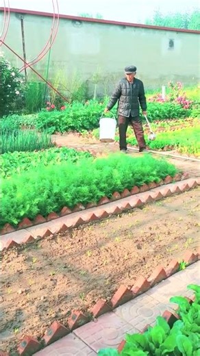 1900 🥔🥥🌶🍊🧄 #RuralBeauty #CountryLivingGoals #ruralamerica #fieldofflowers #NatureBeauty
