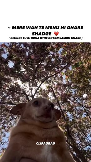 Funny memes on Instagram: "💔 . . . . . #viral #video #instagram #funny #new #trending #reel #memes"