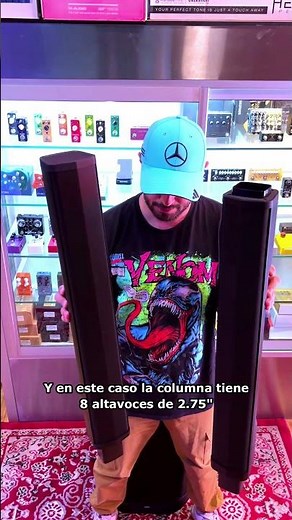 ALTO PROFESSIONAL LINEA TS C - An ARRAY system in your home?!