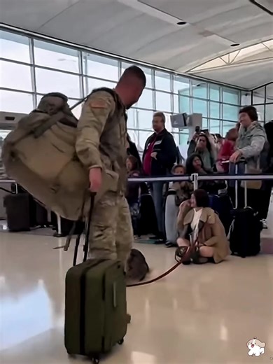 🥰 Heartwarming Soldier Homecoming: Dog Spots Dad in University Crowd！#dog