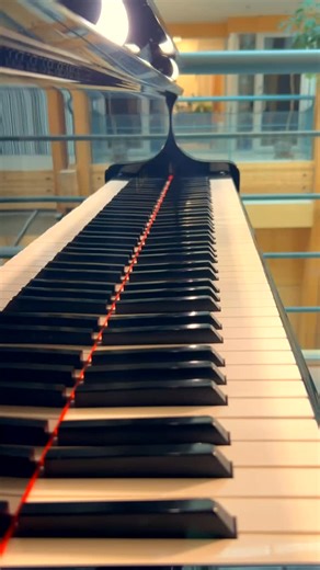UNBC President, Dr. Bill Owen on Instagram: "Alpha didn’t expect a private concert today… but here we are with Alex Cuba on the piano. 🎹🐺🎶"