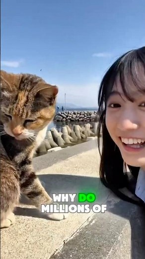 The Secret Behind MANEKI NEKO JAPAN! 🐈⚡️ (How a Cat Saved a Samurai)#catstory#catsad #lovecats