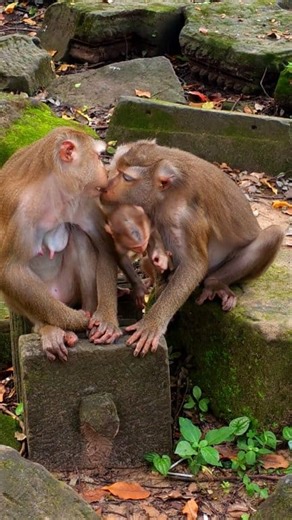 The best movements of Libby kiss Luna and then Luna kiss Libby too. | John Stewart