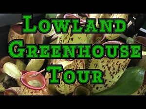 Lowland Greenhouse Jungle Tour: Nepenthes, Orchids and more! #Bradsgreenhousetour