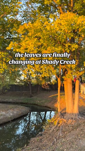 17 reactions · 3 comments | The changing leaves are adding so much...
