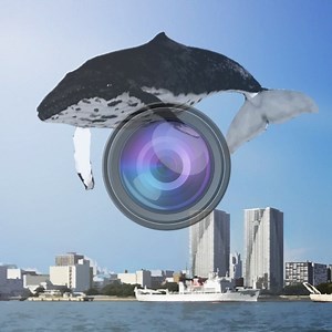 Whale Camera for iOS (iPhone/iPad) - Free Download at AppPure