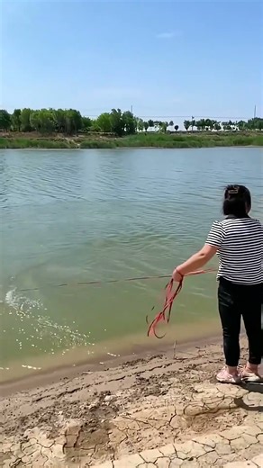 fisherman fishing videos #net #fishing #videoshort #fyp